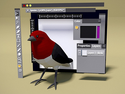 Bird vector in illustrator 3d layout