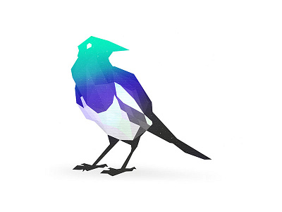 Polygonal magpie animal art bird illustration magpie polygonal vector