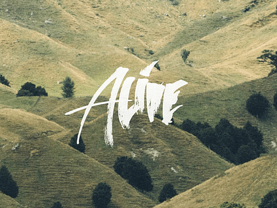 The Hills alive green hills lettering new zealand typography
