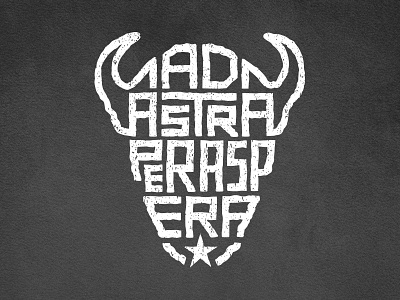 Ad Astra Per Aspera bison kansas type typography united states usa