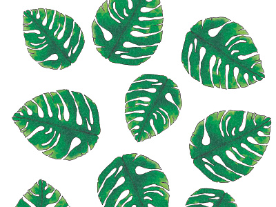 Monstera background 2 background design green icon illustration leaf leaves monstera watercolor