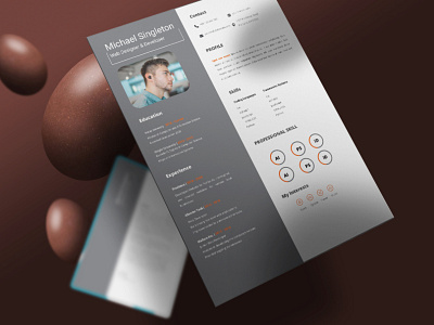 Resume Design Service $10 Only