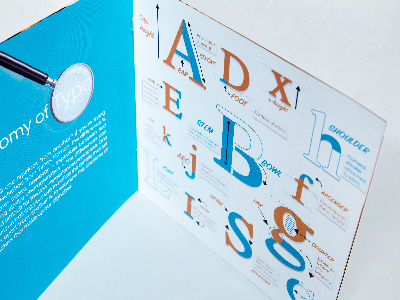 Anatomy of Type Booklet anatomy book letters print type