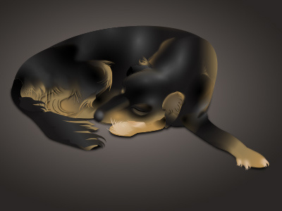 Sleeping dog illustration