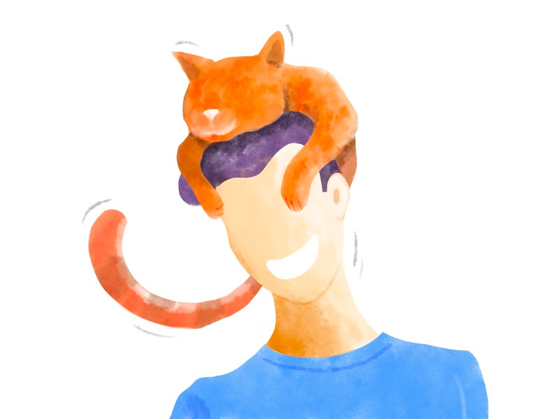 Best seat in the house :) relax cat illustration