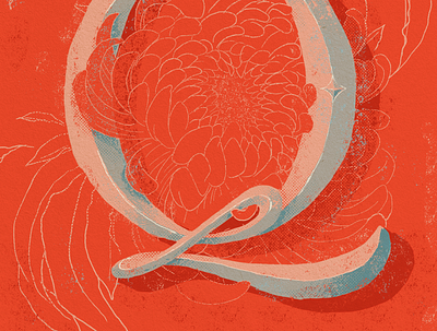 Q flower illustration type