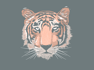 Tiger Head Illustration adobe fresco animal apoka artwork edouard artus illustration ipad pro portrait tiger