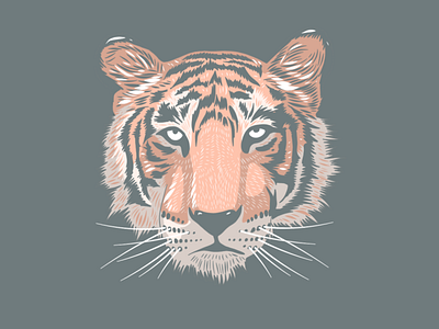 Tiger Head Illustration