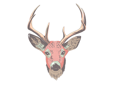 Dear Head Illustration 2 adobe fresco animal apoka artwork deer edouard artus forest illustration ipad pro portrait