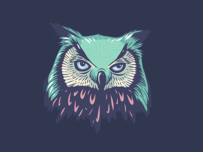 Owl Head Illustration