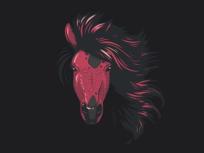 Horse head Illustration