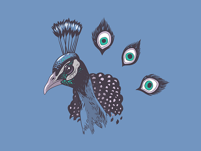 Peacock head Illustration