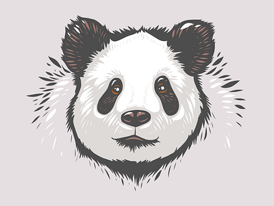 Panda head Illustration adobe fresco animal animals apoka artwork black edouard artus grey illustration ipad pro panda portrait vector white