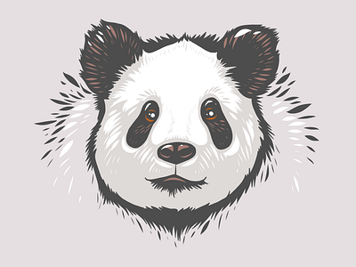 Panda head Illustration