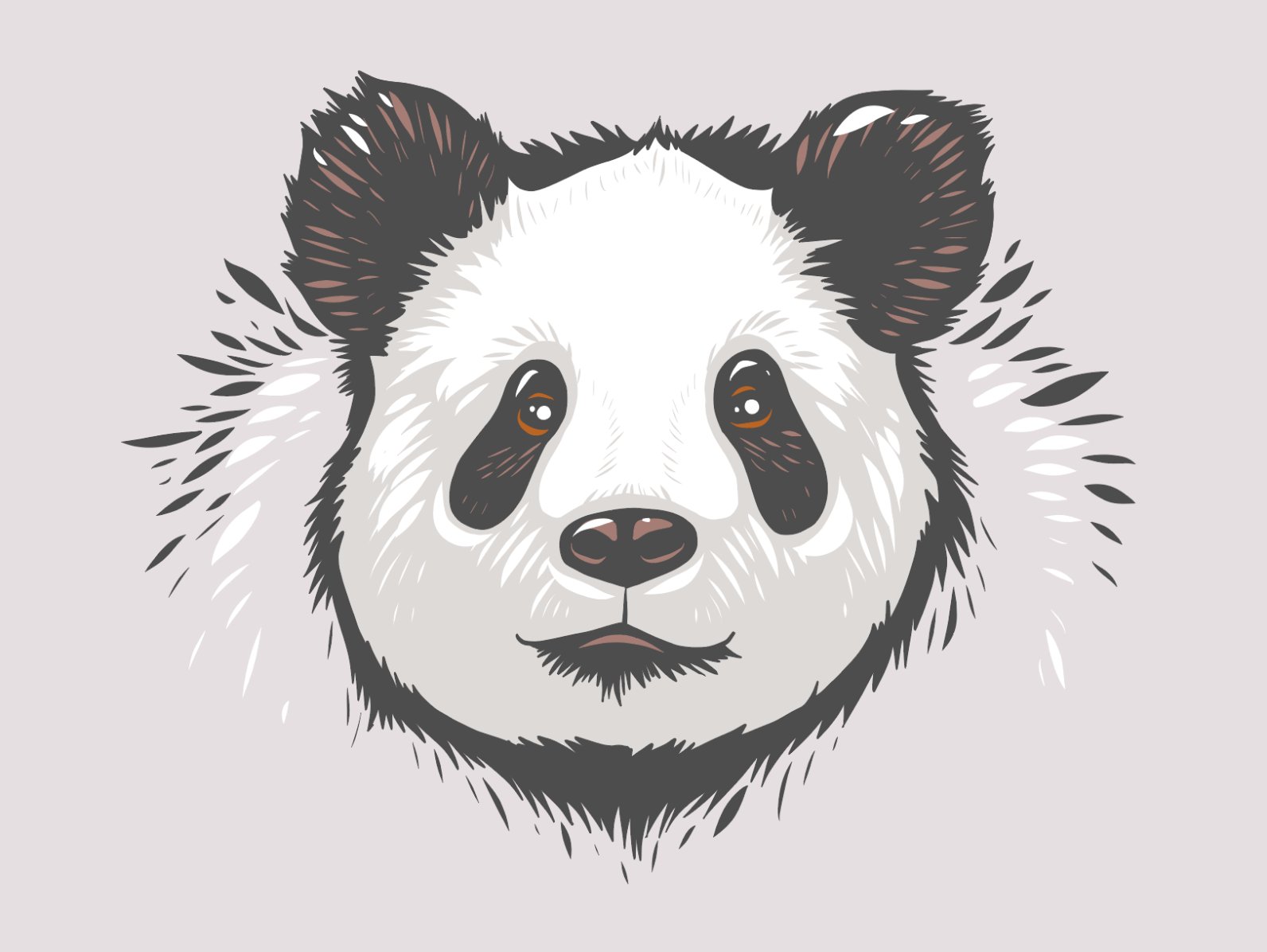 Panda Drawing Face stock vector. Illustration of nature - 86207144