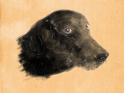 Ramona blackdog dogs ilustración perros ramones uruguay