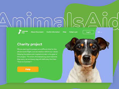 Charity Project to Help Animals animals cats design dogs help homeless kindness pets ui ux web