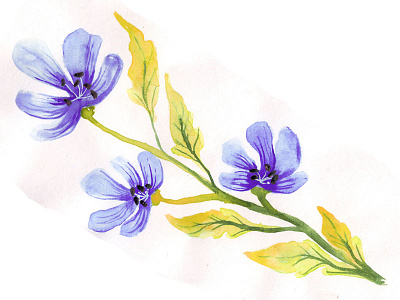 Watercolor Flower