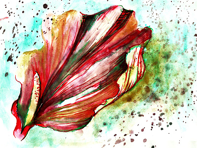 Spathiphyllum VI floral flower ink nature paint petal quick sketch spring summer