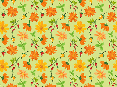 Calendula Pattern