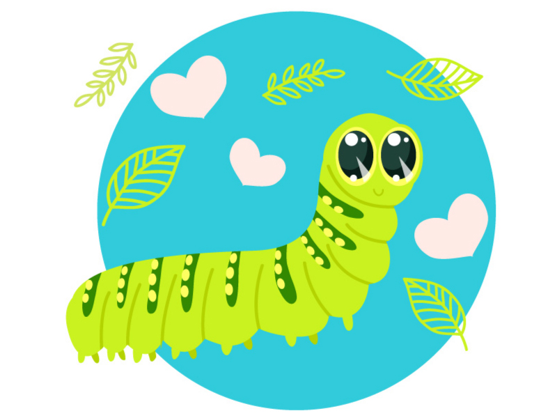 Friendly Caterpillar by Tatiana Cociorva on Dribbble