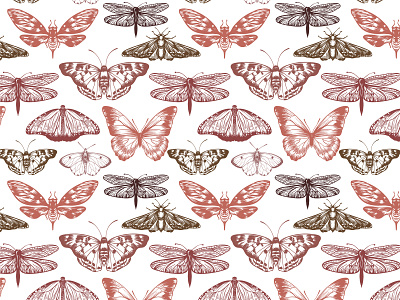 Butterfly pattern butterflies butterfly detail hand drawn pattern seamless vintage
