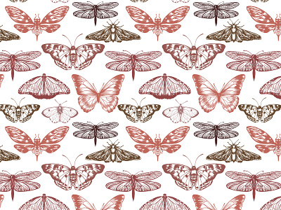 Butterfly pattern