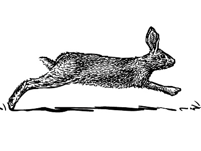 Run, rabbit run animal black white illustration rabbit run