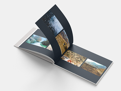 Photography Book of a Nature Reportage art branding design nature photography photoshop shot