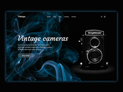 Vintage cameras shop hero section branding hero section home page landing page ui uiux web website