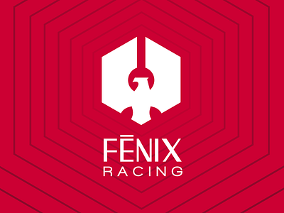 Fenix Racing Logo branding fenix identity logo vector