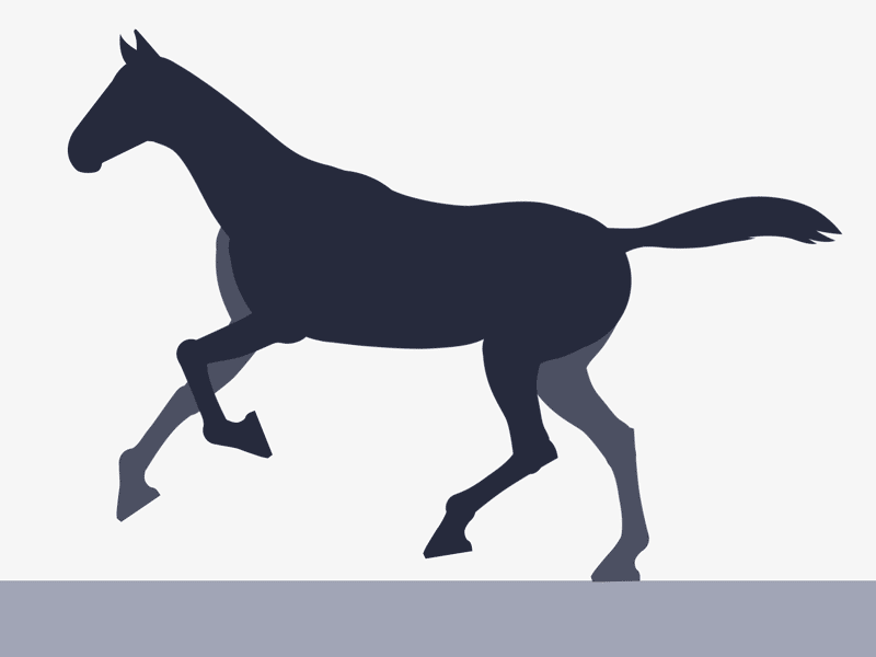 Horse Run/Walk + FREE After Effects Rig animation horse motion practice