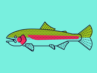 Rainbow Trout fish fishing illustration stroke trout