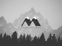 Mountain Logo Design by Bgblue on Dribbble