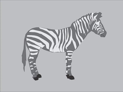 ZEBRA illustration art illustrations