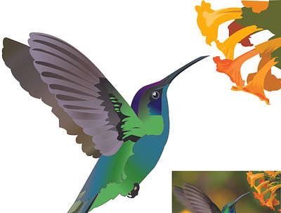 Bird branding design graphic design illustration illustrator logo logo design vector