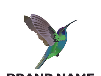 Hummingbird logo branding design graphic design illustration illustrator logo logo design ui ux vector
