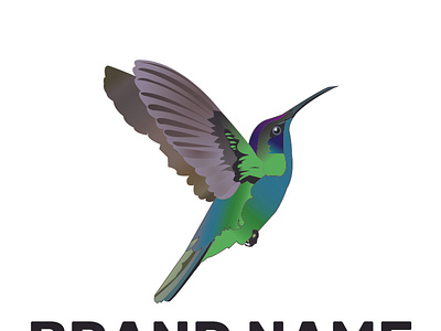 Hummingbird logo