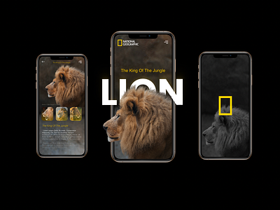 National Geographic App animation flat icon illustrator logo minimal typography ui design uiux website