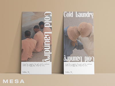 COLD LAUNDRY branding design fashion app flat font graphic design icon identity illustration illustrator logo logo design minimal photo photoshop simple type typography ui vector