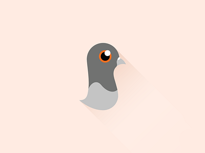 Pigeon bird cute illustration pigeon vector