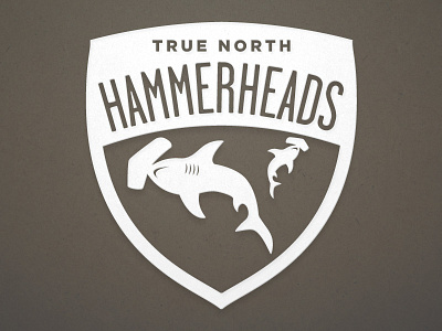 TN Hammerheads logo sports