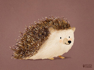 Hedgy animal artist cute doodle hedgehog illustration illustrator photoshop texture