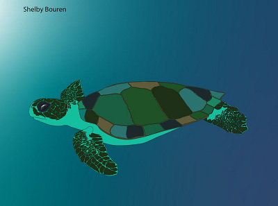 Simple Turtle adobe illustrator art digital art eco friendly ecology illustration sea life turtle turtle illustration turtle logo