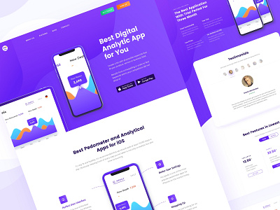 Digital Analytic SAAS Landing Page