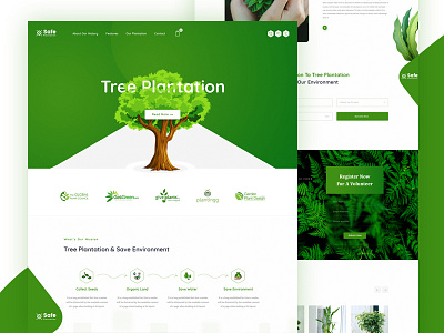 Safe Plantation - Web Concept Design creative design environment non profit business safe plantation template tree plantation ui design ux design web template