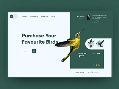 Web UI Practice 3rd color concept design illustration landing page minimal practice slider ui web template