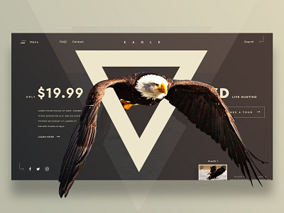 Website Header Design eagle header design hunting landing page minimal ui design ux design web template website header