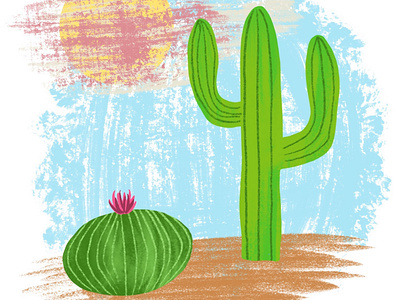 Cactus cactus desert illustration procreate