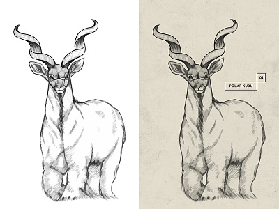 HYBRID . Polar Kudu . Drawing animal artwork beast concept creature drawing hybrid illustration kudu monster paper pencil